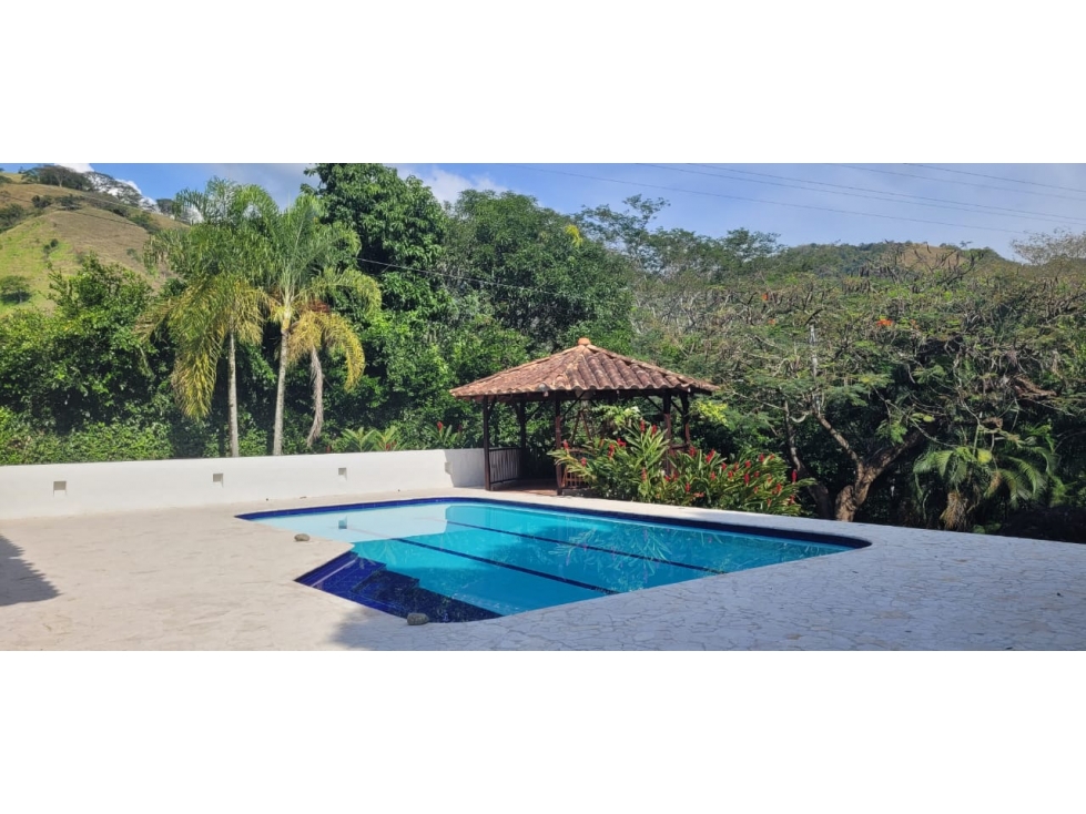 RHBR-12300 (FINCA Bolombolo Antioquia) — foto 2