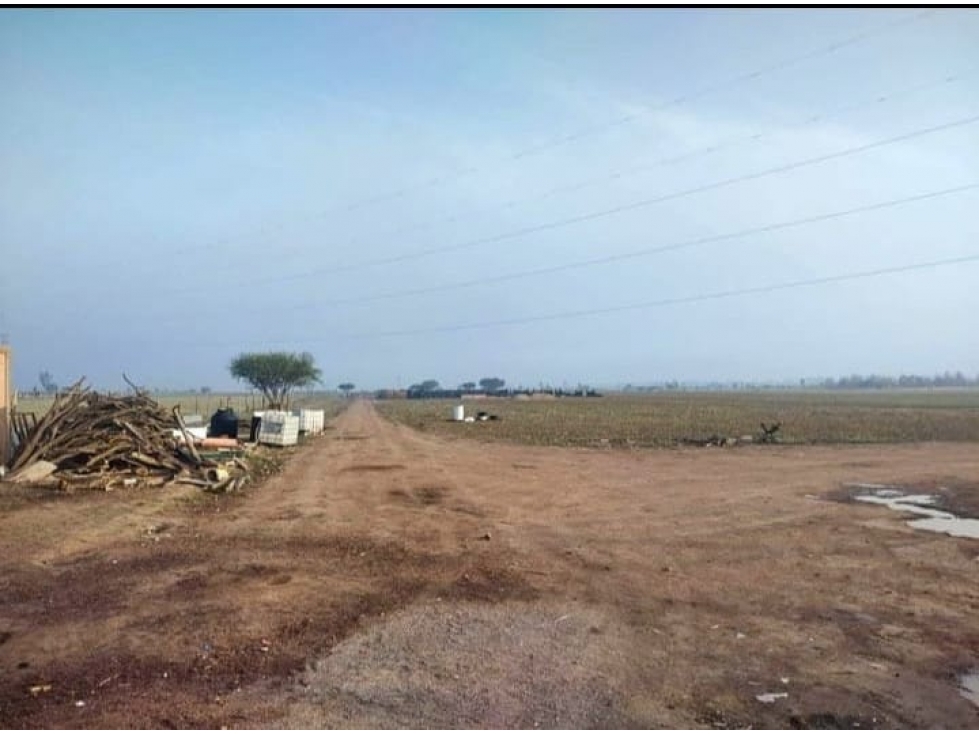 TERRENO EN SANTA ROSA, EL LLANO - 2