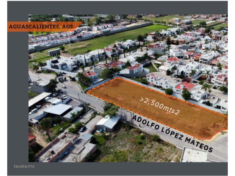 TAVATA, OFICINAS Y LOCALES COMERCIALES - 3