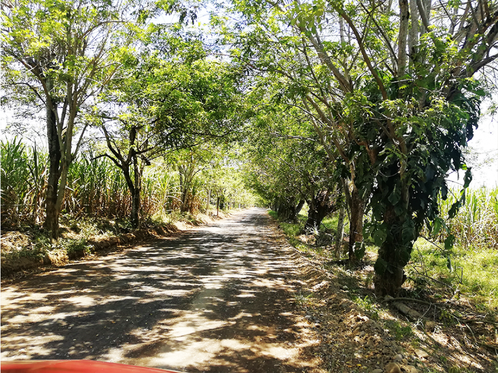Lote Lomas del Viento Cali - 3