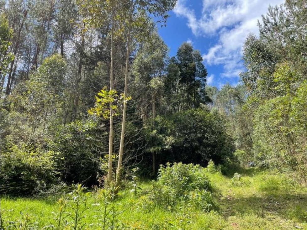 Venta de Lote en el Retiro Antioquia