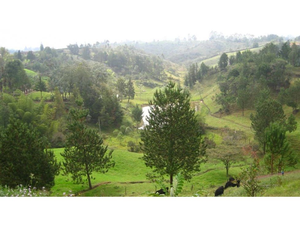 VENDO LOTE EN RIONEGRO, VEREDA SANTA BARBARA — foto 2