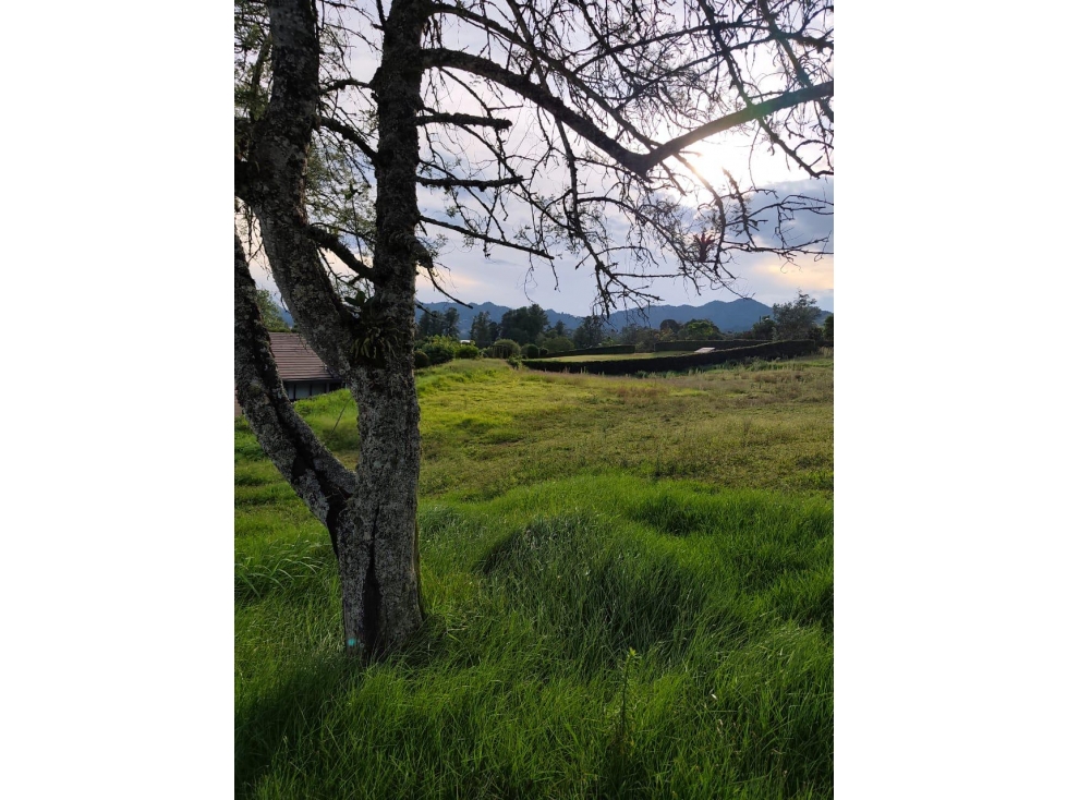 Lote de 2.500 m² en parcelación, La Ceja, Antioquia.