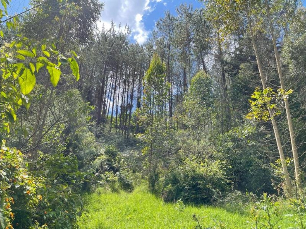 Venta de Lote en el Retiro Antioquia — foto 6