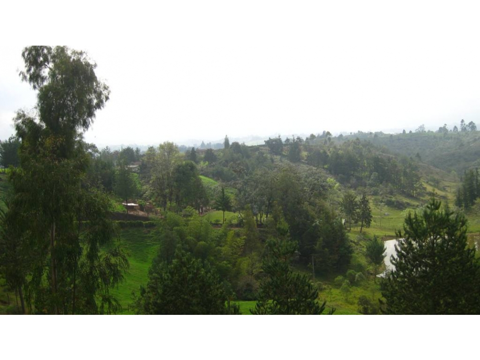 VENDO LOTE EN RIONEGRO, VEREDA SANTA BARBARA