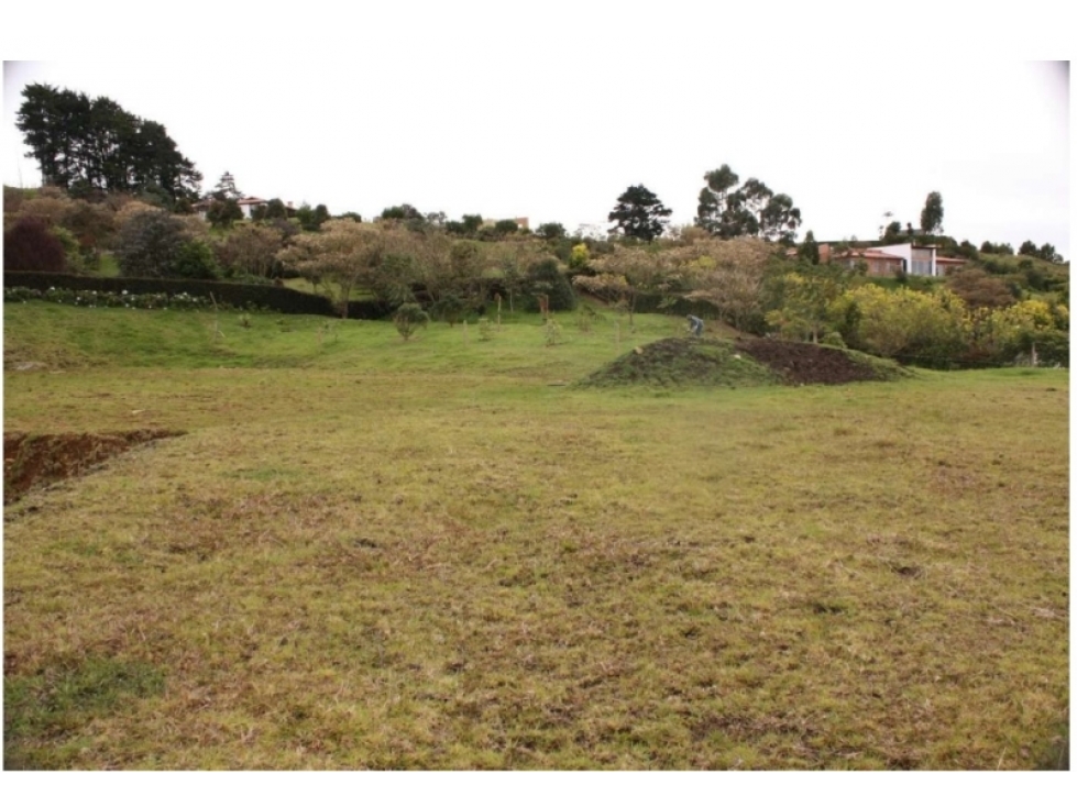 VENDO LOTE EN ALTO DE LAS PALMAS La Acuarela — foto 2