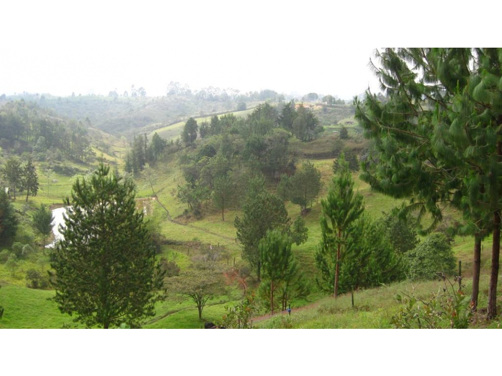 VENDO LOTE EN RIONEGRO, VEREDA SANTA BARBARA — foto 3