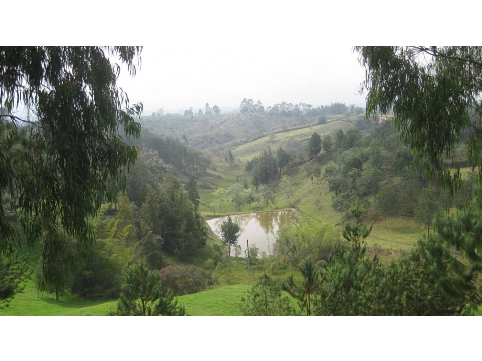 VENDO LOTE EN RIONEGRO, VEREDA SANTA BARBARA — foto 4