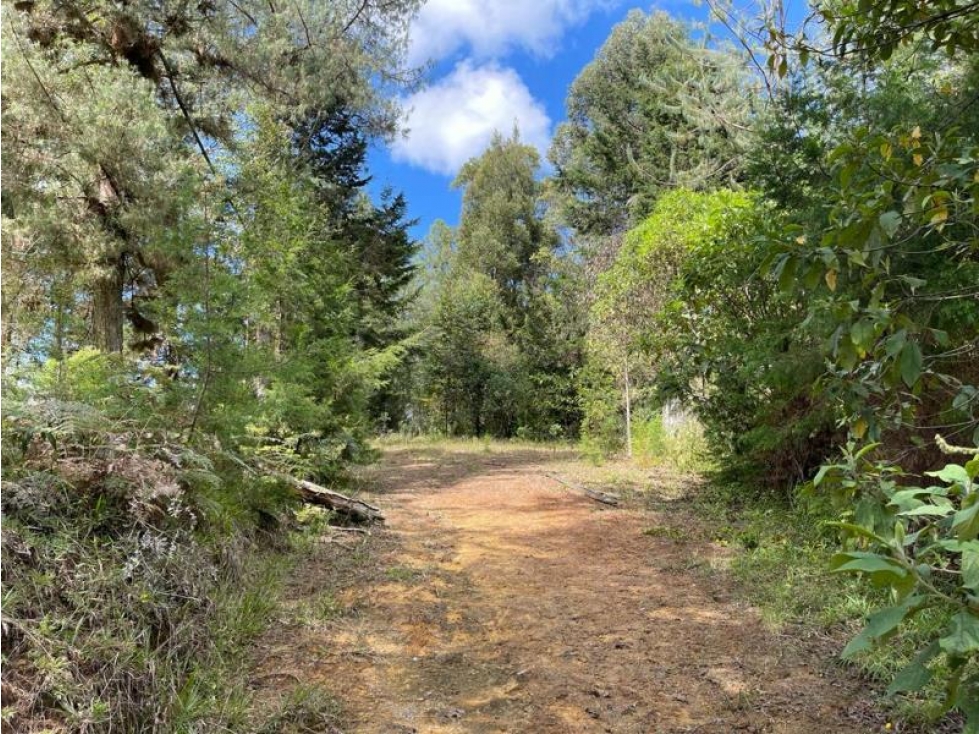 Venta de Lote en el Retiro Antioquia — foto 2
