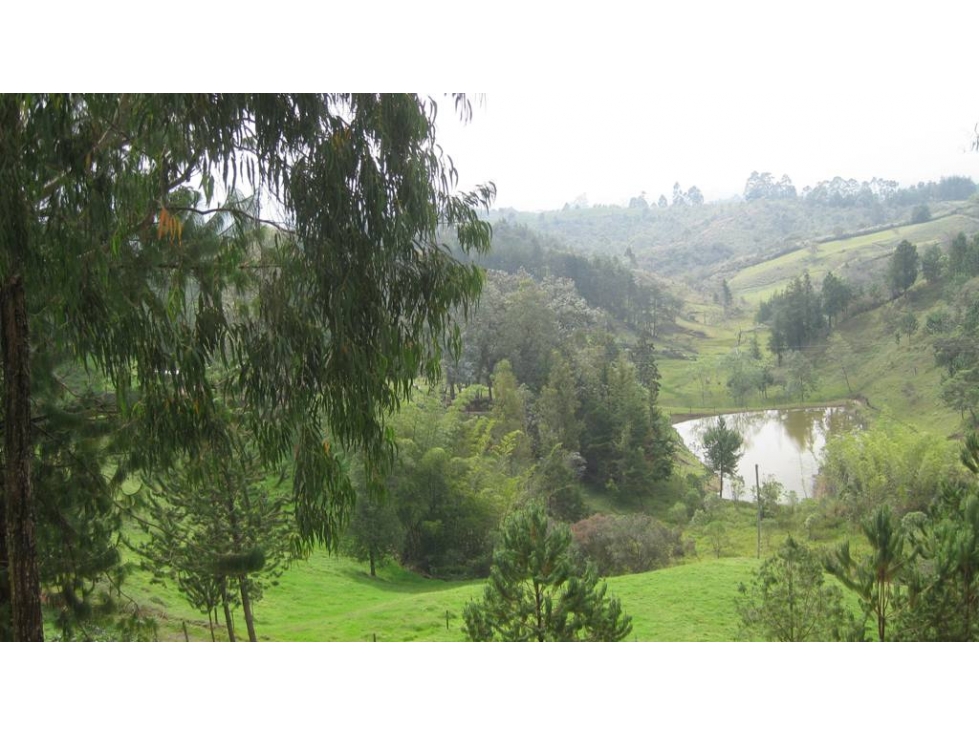 VENDO LOTE EN RIONEGRO, VEREDA SANTA BARBARA — foto 6