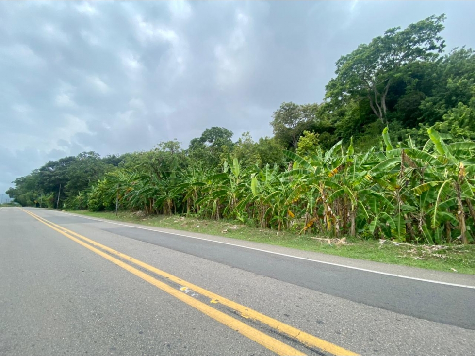 SE VENDE LOTE VÍA SANTA MARTA - PALOMINO DE 10 HECTÁREAS - 3
