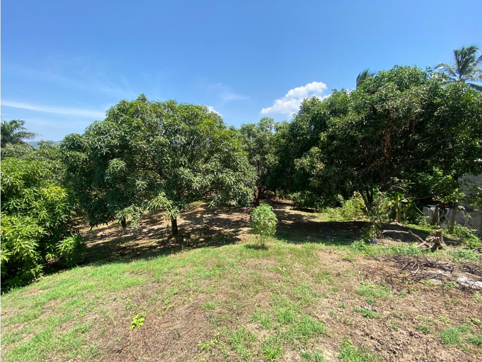 SE VENDE LOTE SOBRE LA VÍA MASINGA, SANTA MARTA - 1