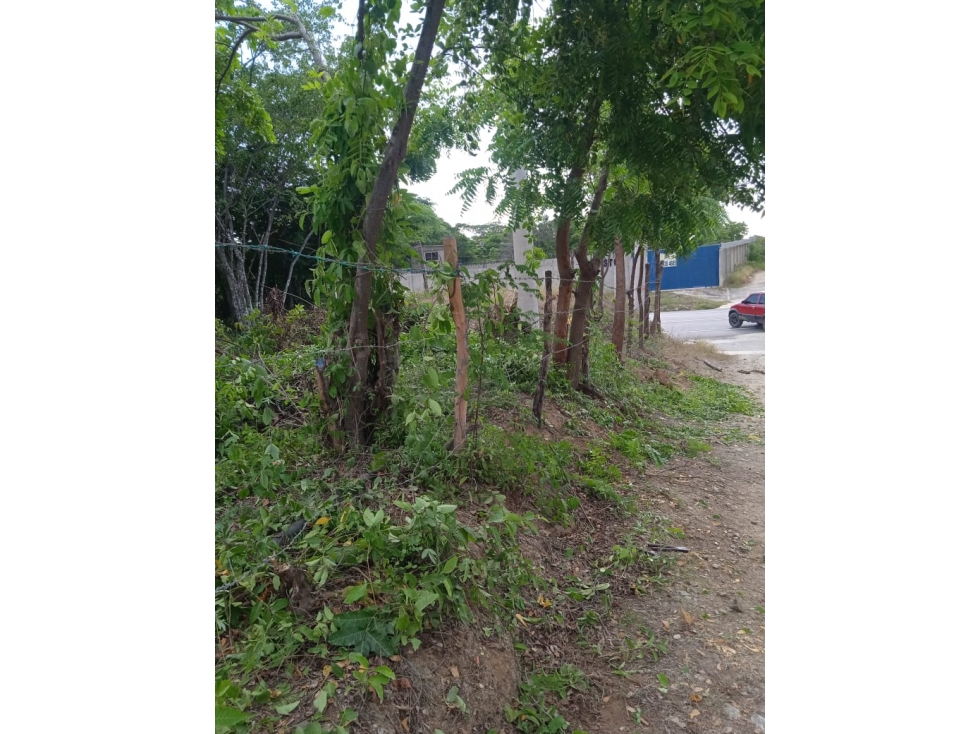 SE VENDE LOTE EN ÁREA RURAL DE DON JACA, SANTA MARTA — foto 2