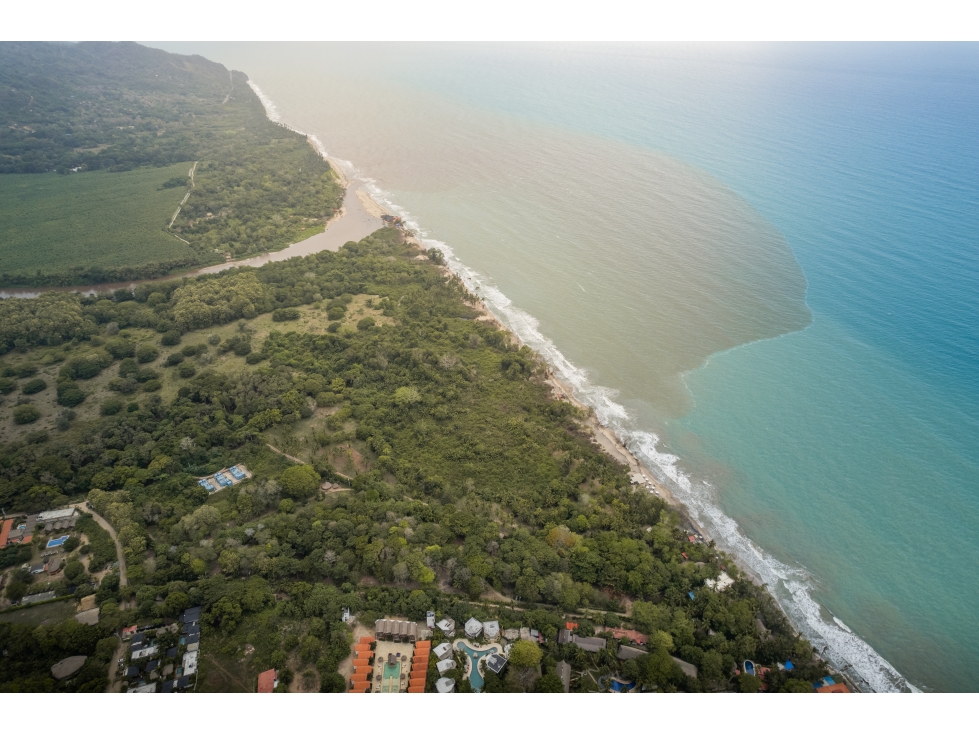 SE VENDE LOTE PRIMERA LINEA DE PLAYA EN EL SECTOR DE PALOMINO - 4