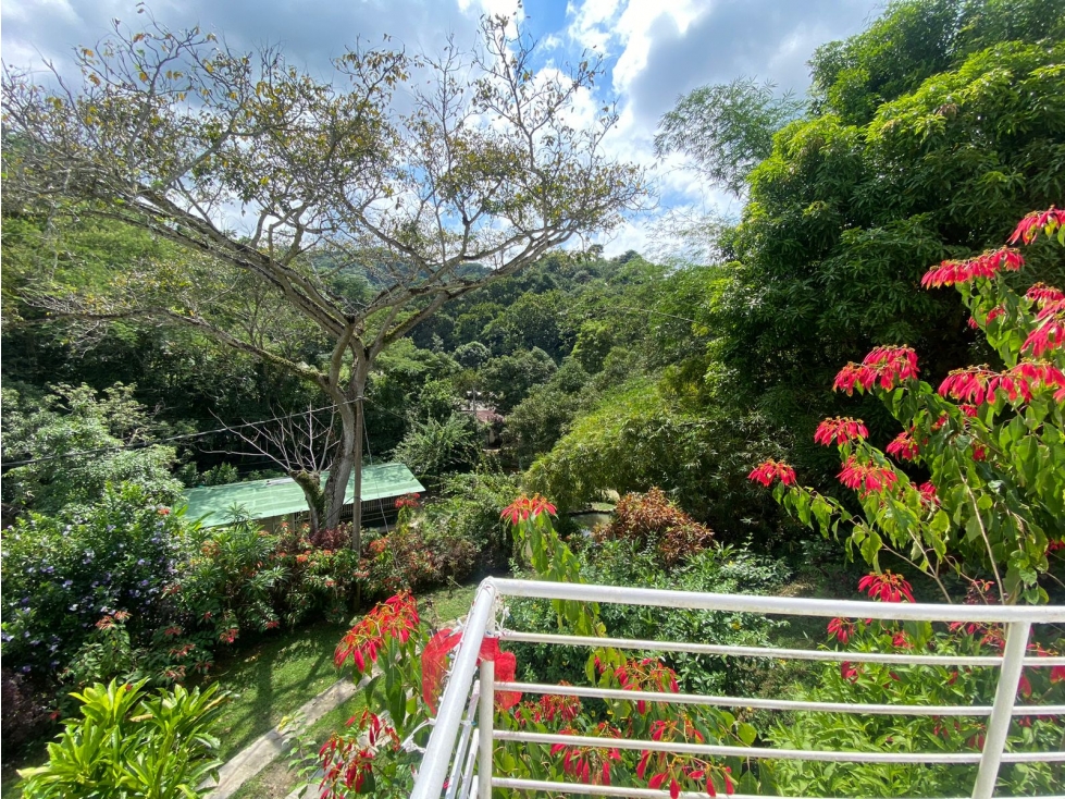 SE VENDE CASA FINCA EN EL SECTOR DE TIGRERA, SANTA MARTA — foto 5