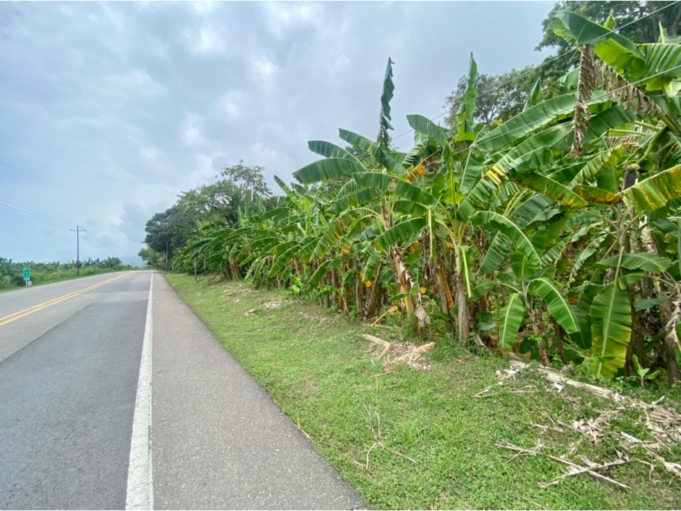 SE VENDE LOTE VÍA SANTA MARTA - PALOMINO DE 10 HECTÁREAS - 2
