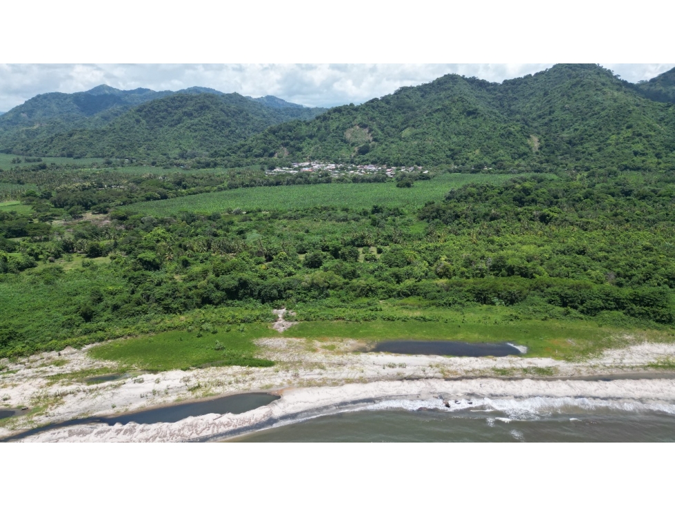 SE VENDE LOTE EN PRIMERA LINEA DE PLAYA, SECTOR BURITACA SANTA MARTA — foto 2