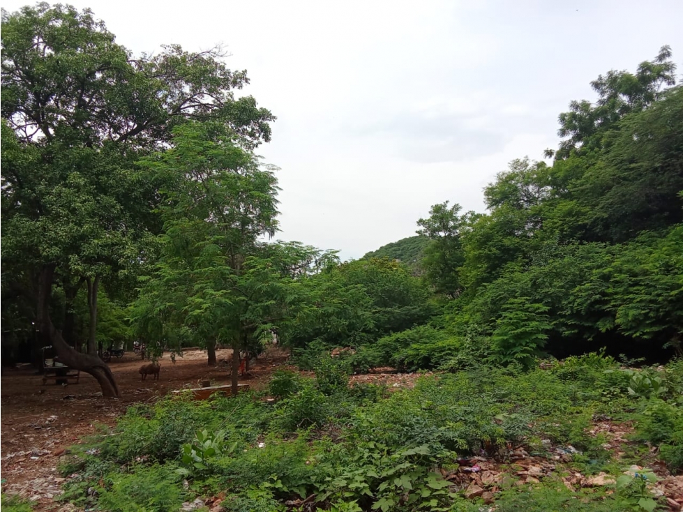SE VENDE LOTE PARA PROYECCIÓN DE VIVIENDA, SECTOR HONDAS DEL CARIBE — foto 3