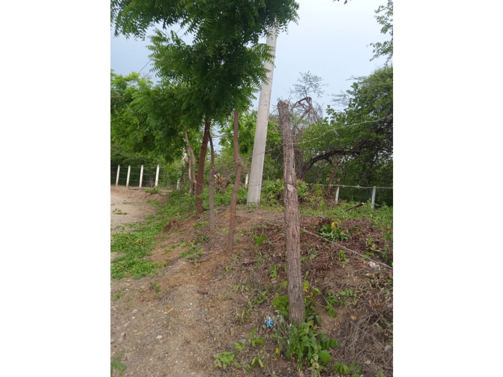 SE VENDE LOTE EN ÁREA RURAL DE DON JACA, SANTA MARTA — foto 3