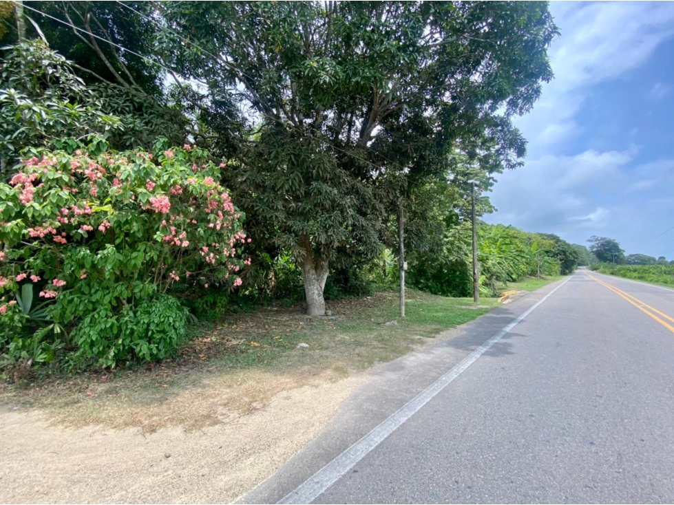 SE VENDE LOTE VÍA SANTA MARTA - PALOMINO DE 10 HECTÁREAS - 5