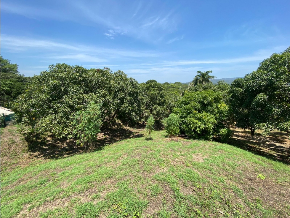 SE VENDE LOTE SOBRE LA VÍA MASINGA, SANTA MARTA - 3