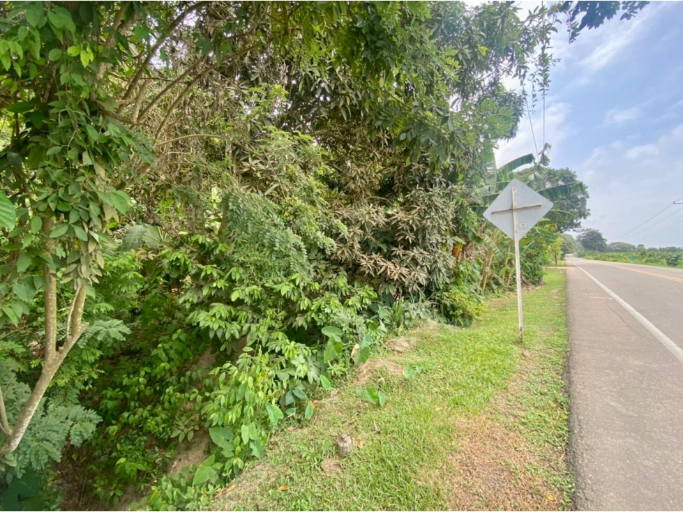 SE VENDE LOTE VÍA SANTA MARTA - PALOMINO DE 10 HECTÁREAS - 4