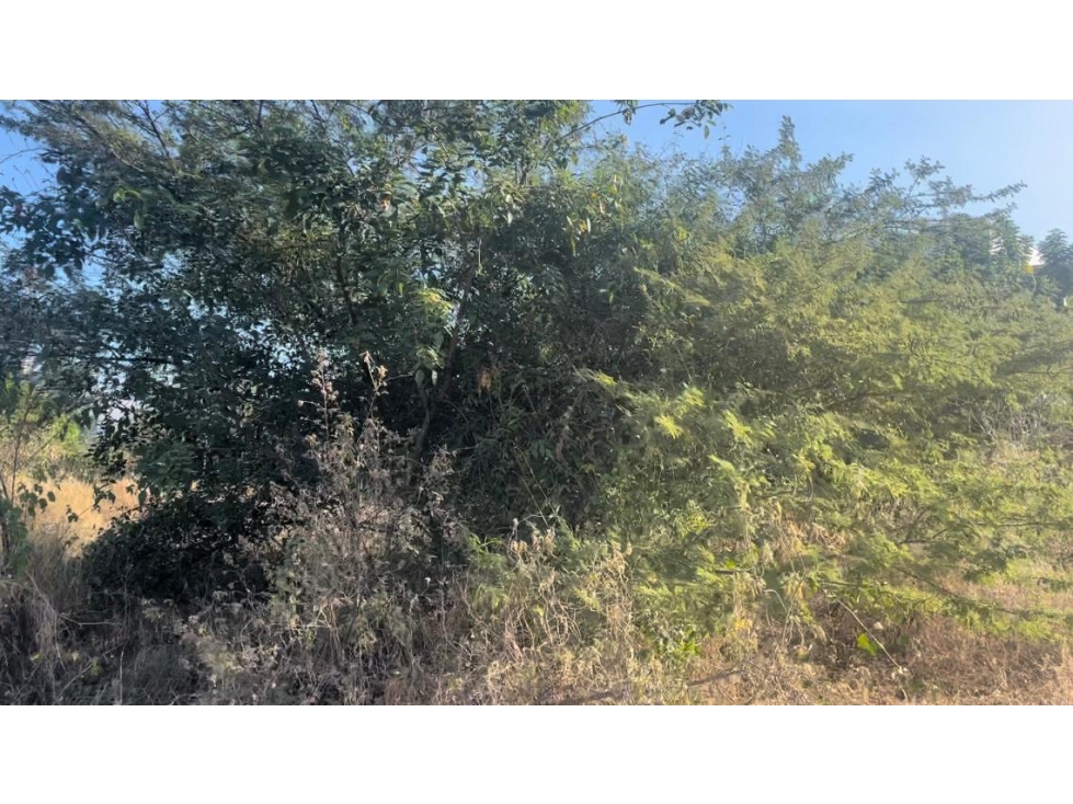 SE VENDE LOTE EN SECTOR LOS ARHUACOS, SANTA MARTA — foto 2