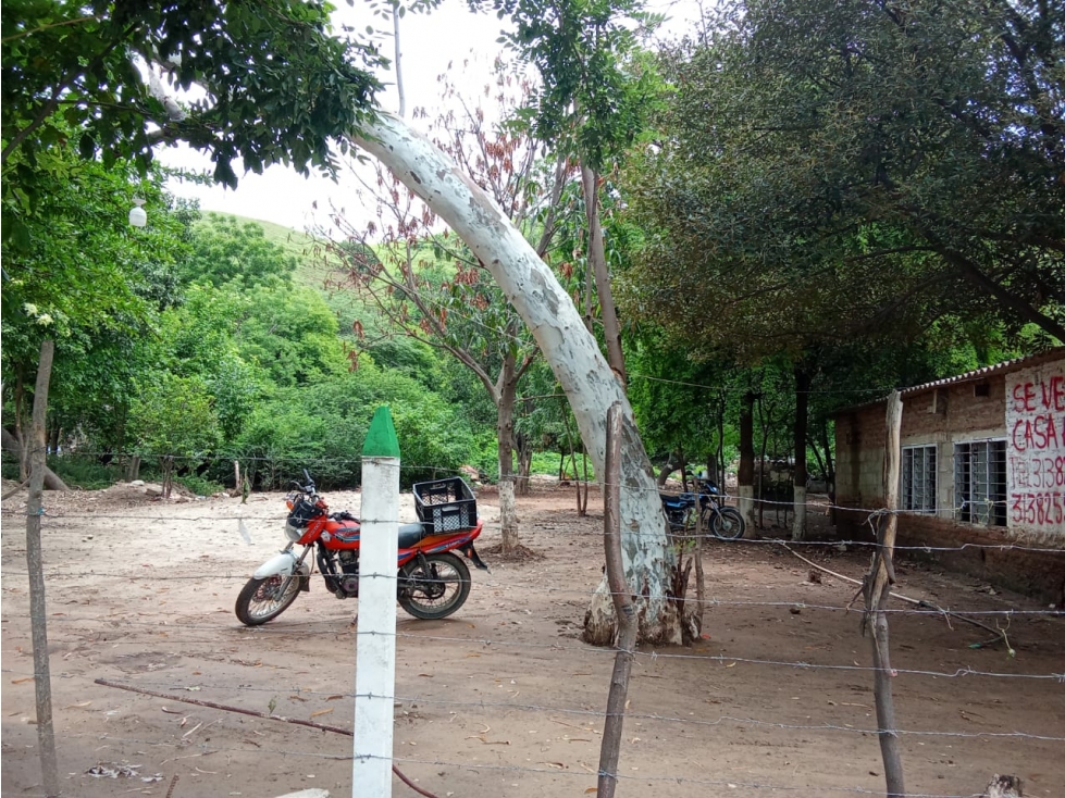 SE VENDE LOTE PARA PROYECCIÓN DE VIVIENDA, SECTOR HONDAS DEL CARIBE — foto 5