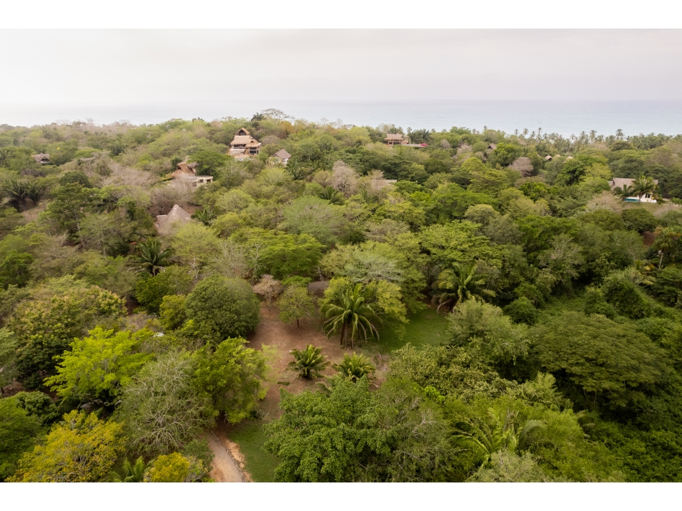 SE VENDE LOTE EN CONJUNTO UBICADO EN PRIMERA LINEA DE MAR, PALOMINO - 4