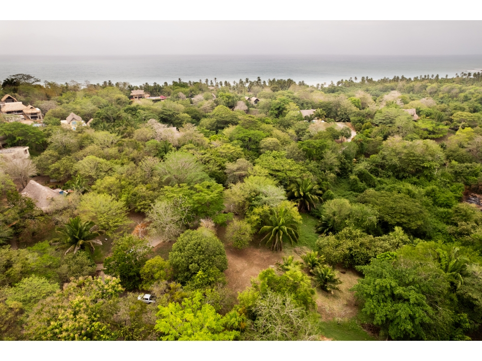 SE VENDE LOTE EN CONJUNTO UBICADO EN PRIMERA LINEA DE MAR, PALOMINO - 3