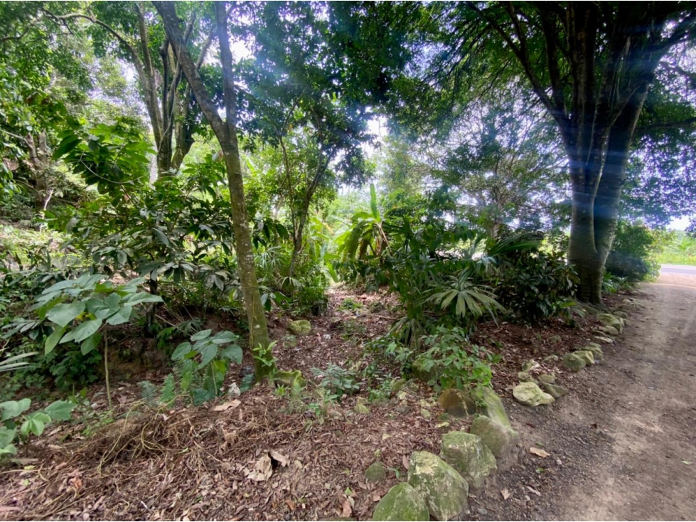 SE VENDE LOTE VÍA SANTA MARTA - PALOMINO DE 10 HECTÁREAS - 6