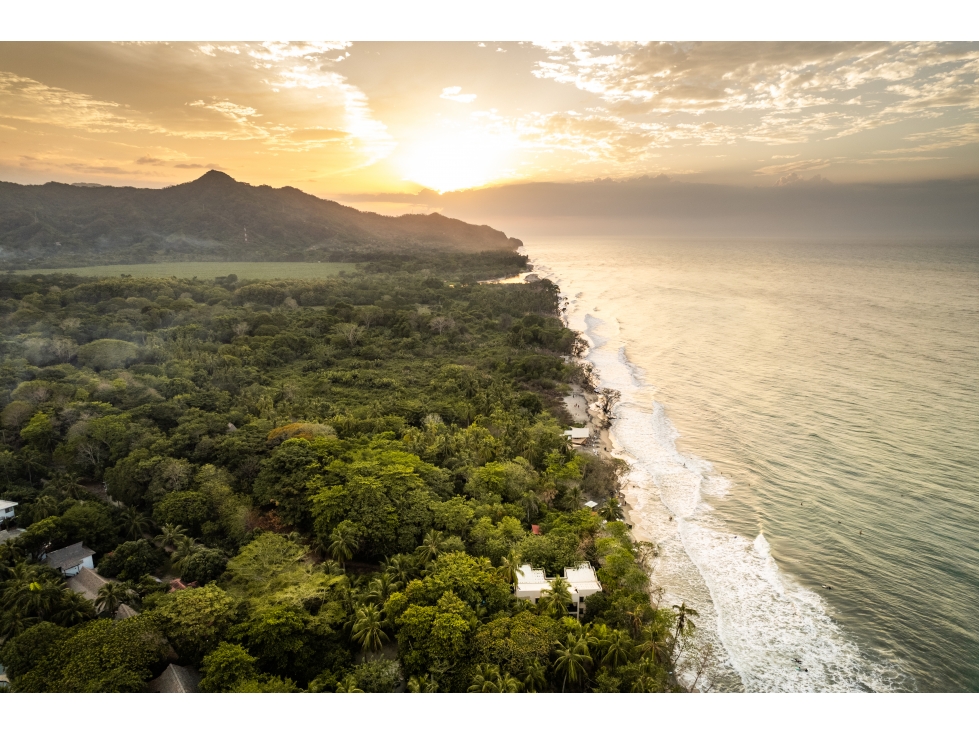 SE VENDE LOTE PRIMERA LINEA DE PLAYA EN EL SECTOR DE PALOMINO - 5