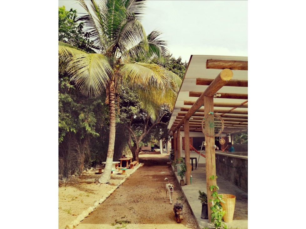 SE VENDE O ARRIENDA HOSTAL CON PRECIO DE OPORTIUNIDAD, EN PALOMINO - 5