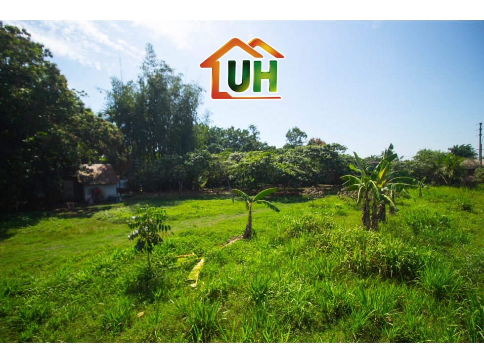 00540 - VENTA TERRENO INDUSTRIAL YARINACOCHA - AT 19,600 M2 - 4