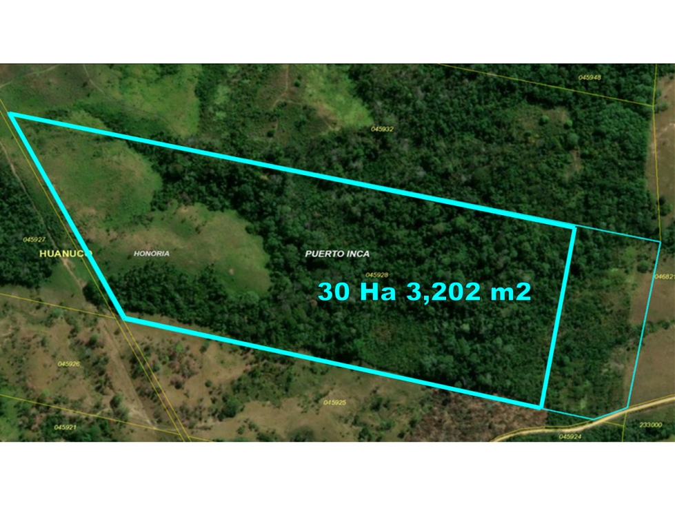 00537 - REMATO TERRENO RURAL EN HONORIA - 54 HA 2, 496 M2 - 2