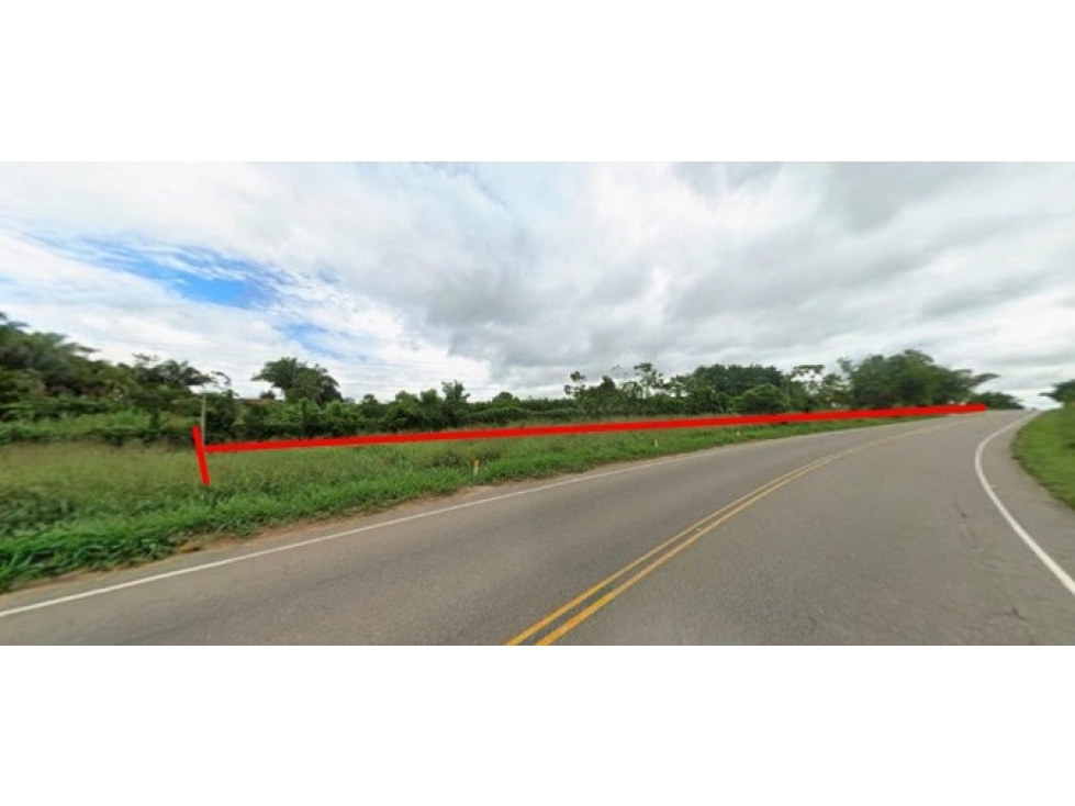 VENTA TERRENO RURAL EN C.F.B KM 50 - AREA 53HA 7,429 - CAMPO VERDE - 5