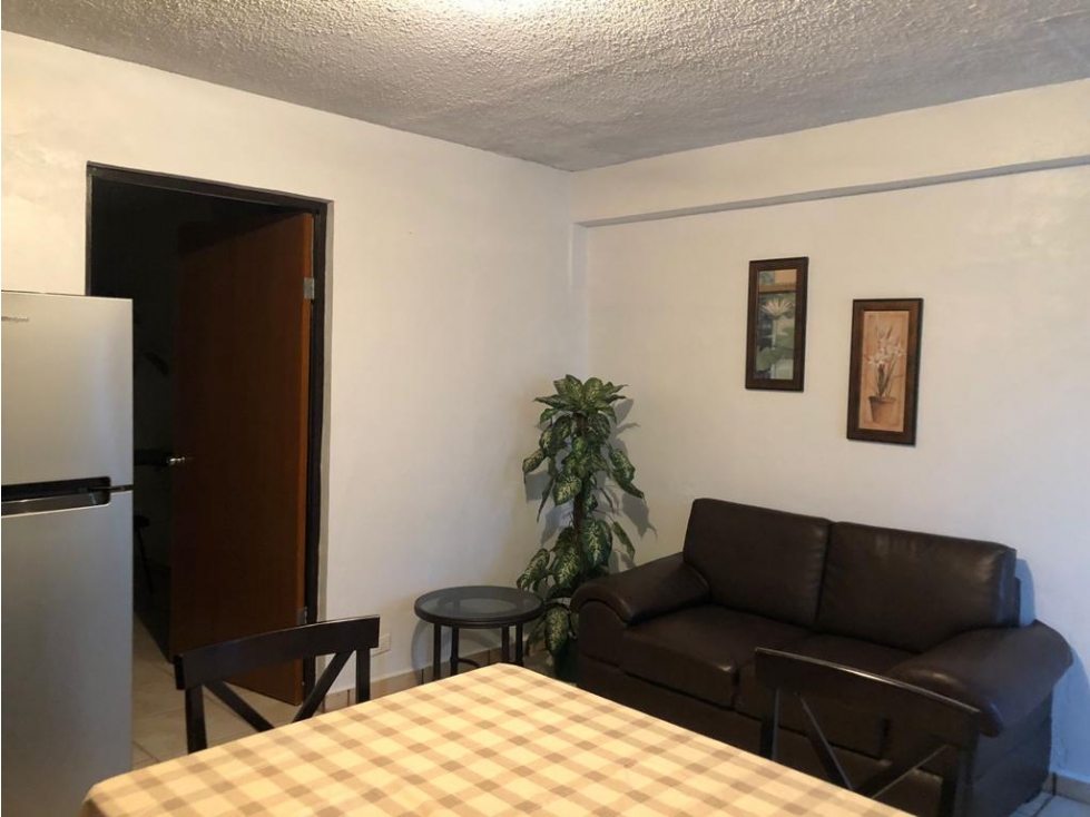DEPARTAMENTO EN RENTA EN COL. BALDERRAMA - 2