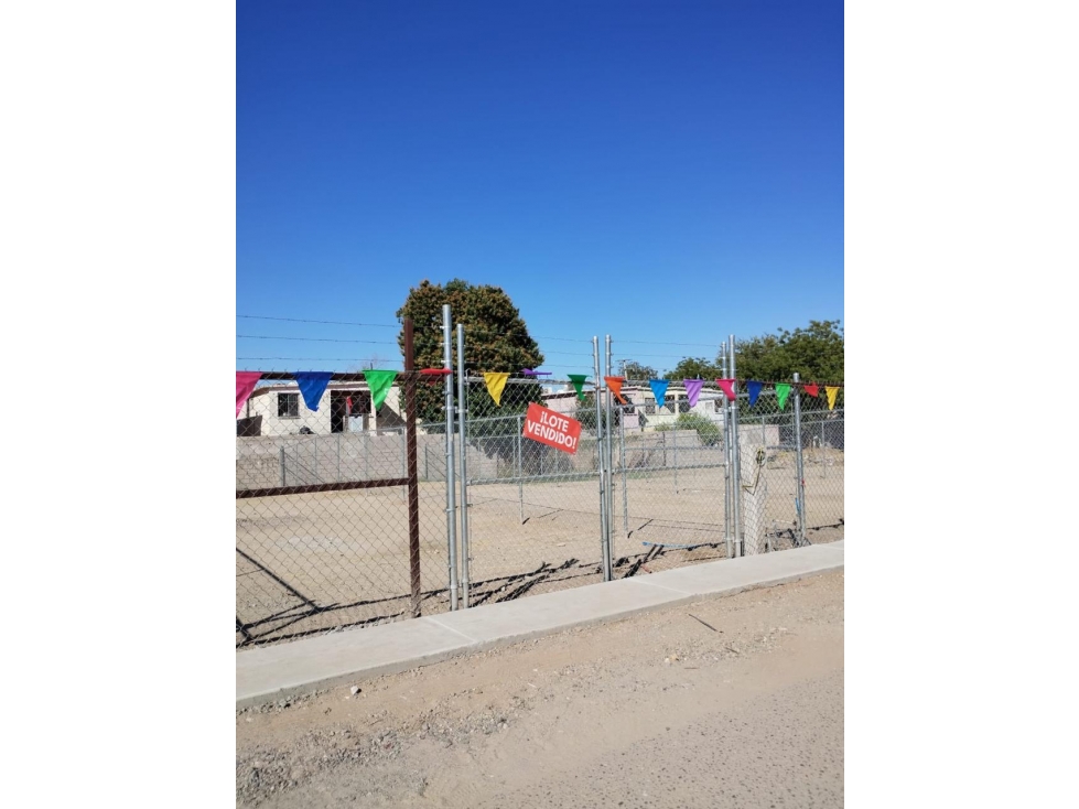 TERRENOS EN VENTA | COL. ARBOLEDAS - 1