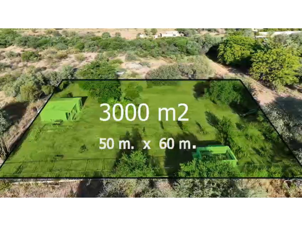 TERRENO EN VENTA | REAL DEL ALAMITO