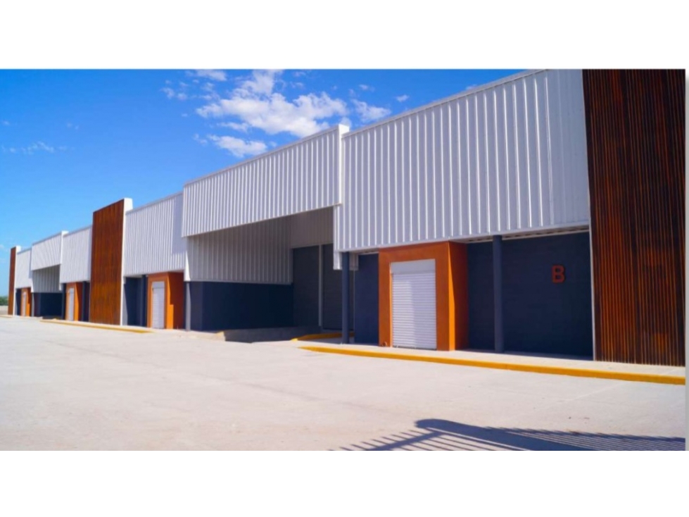 BODEGA EN RENTA | COL. LA MANGA - 2