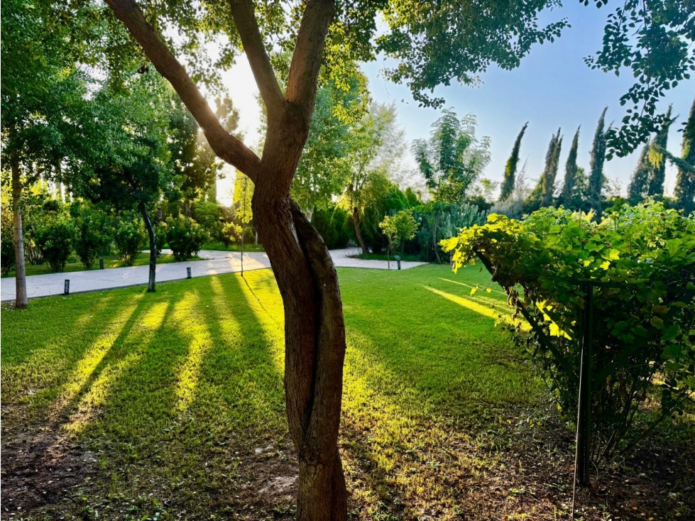 FINCA EL SUEÑO - 2