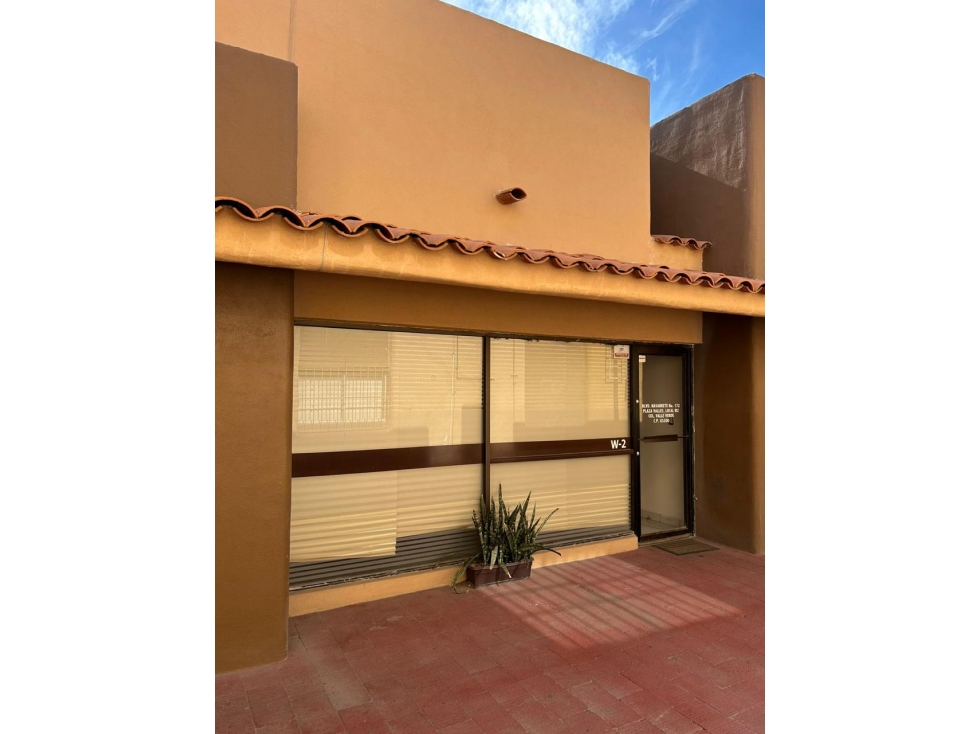 LOCAL EN RENTA | PLAZA VALLES