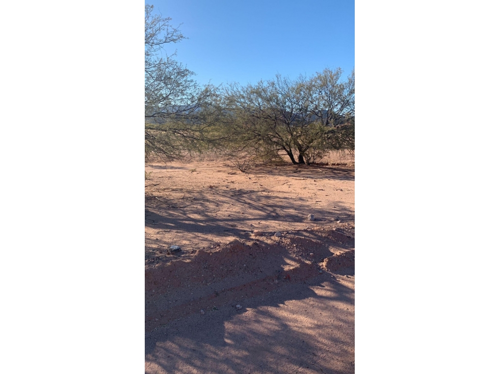 TERRENO EN VENTA | SAN CARLOS - 2