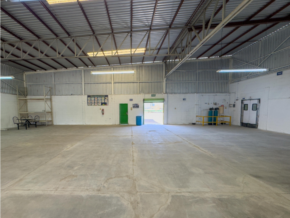 BODEGA EN RENTA | SAN PEDRO - 4