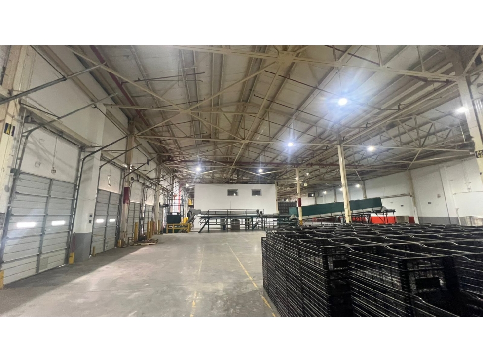 BODEGA EN RENTA | PARQUE INDUSTRIAL SUR - 4