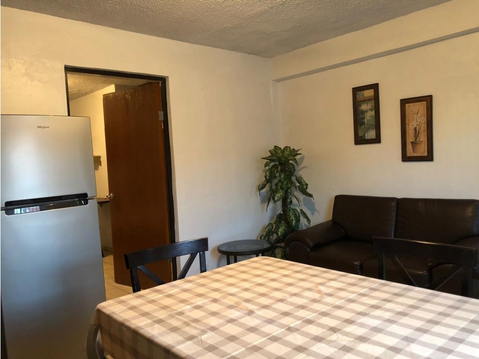 DEPARTAMENTO EN RENTA EN COL. BALDERRAMA - 5