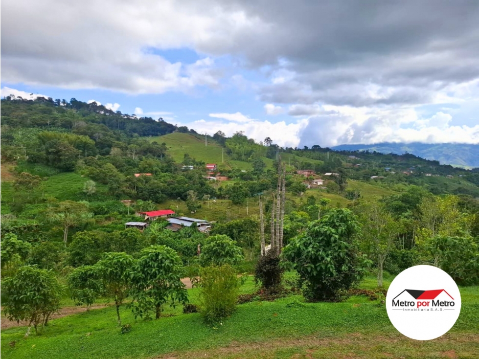 Venta de Pintoresca Finca en El Palmar — foto 2