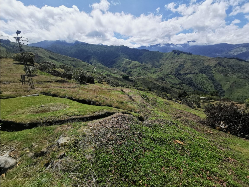 Lote en venta en el Departamento de Caldas - 5