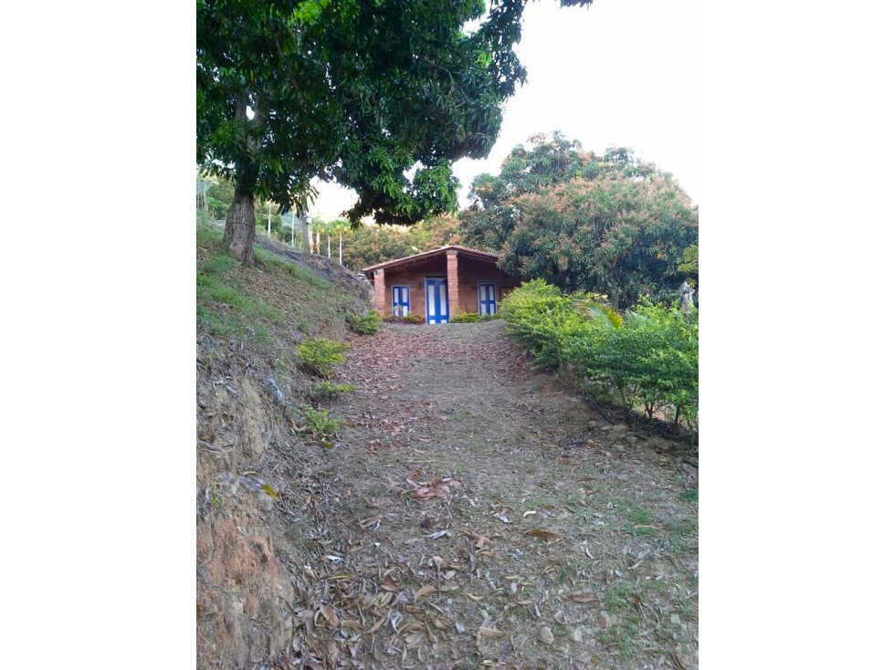 Finca en venta en Sopetran, sector vereda Santa Rita - 3