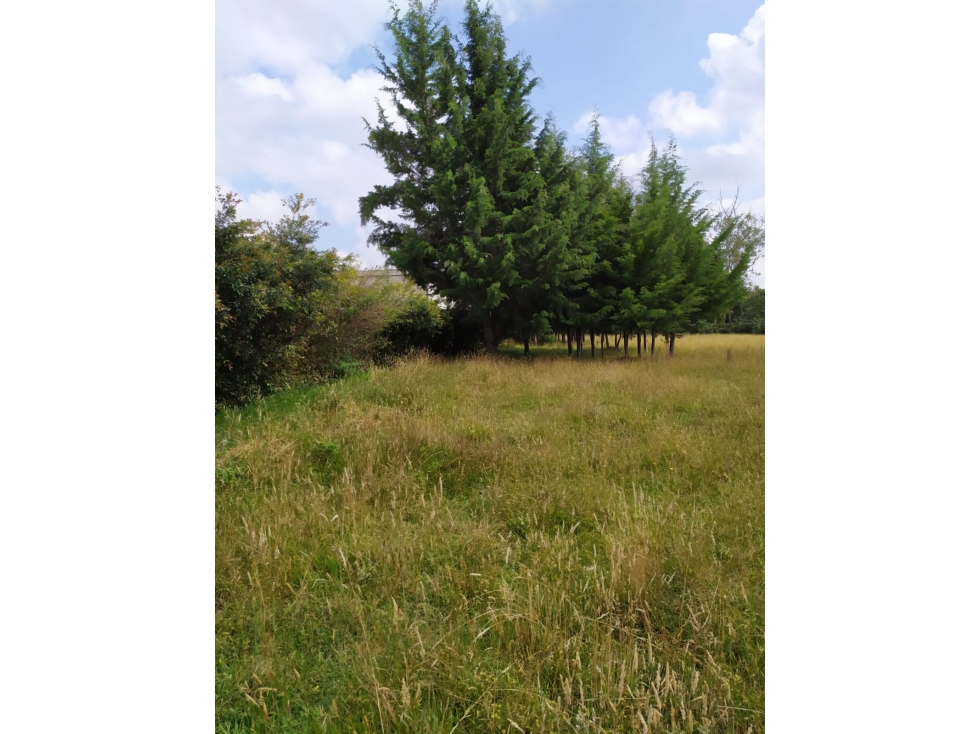 Lote en venta en Rionegro, sector Aeropuerto — foto 6